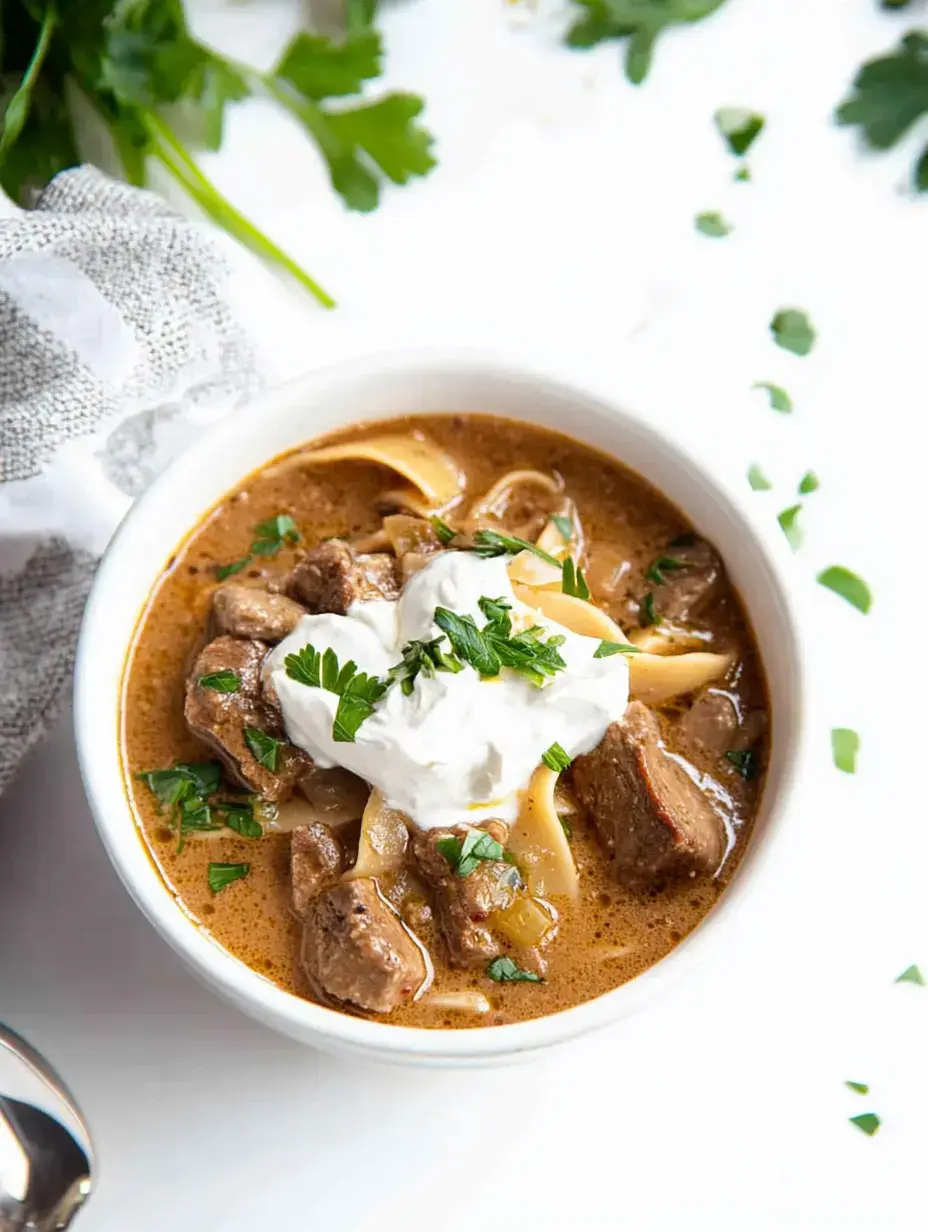 A bowl of beef stew with noodles, topped with sour cream and fresh parsley, surrounded by scattered herbs and a textured gray napkin.